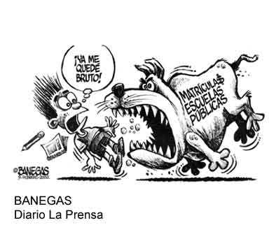 La educación pública